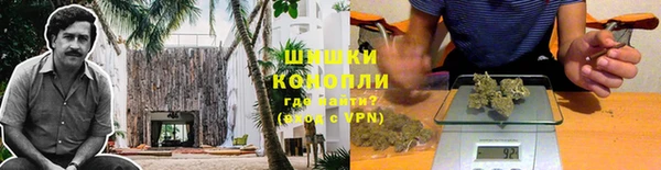 тгк Пролетарск