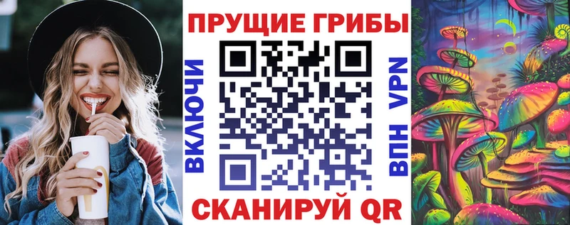 Псилоцибиновые грибы ЛСД  Купить  Городище 